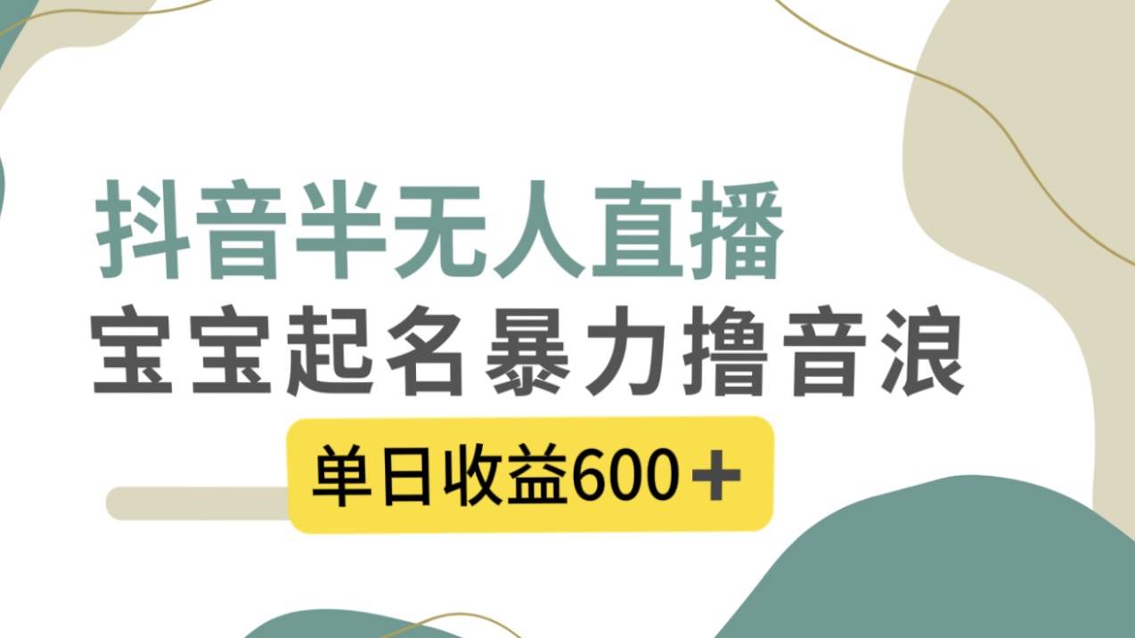 抖音半无人直播，宝宝起名，暴力撸音浪，单日收益600+-九节课