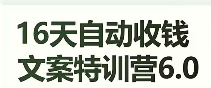 16天自动收钱文案特训营6.0，学会儿每天自动咔咔收钱-九节课