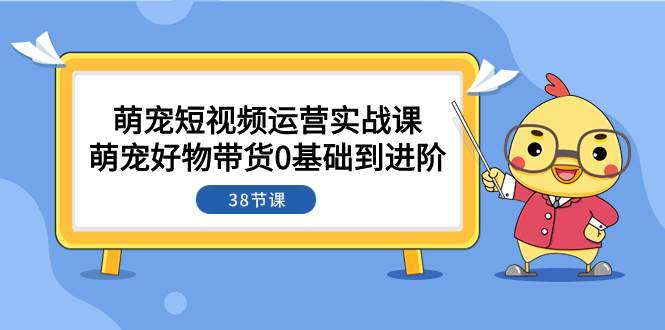 萌宠·短视频运营实战课：萌宠好物带货0基础到进阶（38节课）-九节课