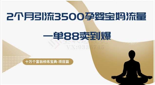 十万个富翁修炼宝典之13.2个月引流3500孕婴宝妈流量，一单88卖到爆-九节课