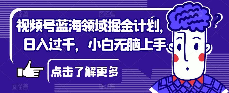 视频号蓝海领域掘金计划，日入过千，小白无脑上手【揭秘】-九节课