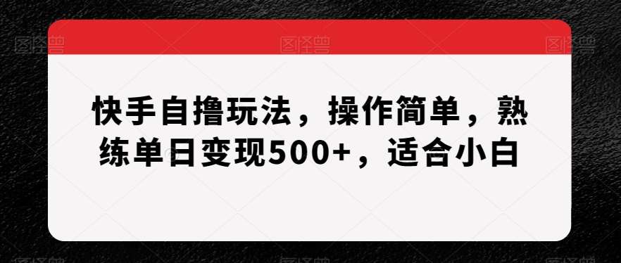 快手自撸玩法，操作简单，熟练单日变现500+，适合小白【揭秘】-九节课