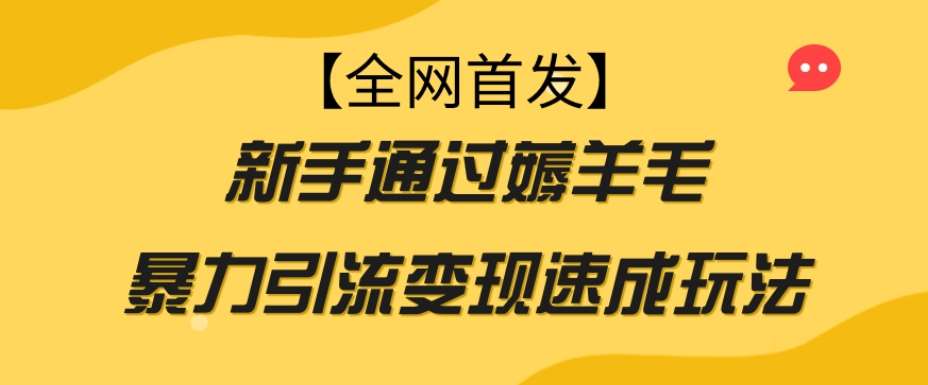 【全网首发】新手通过薅羊毛暴力引流变现速成玩法-九节课