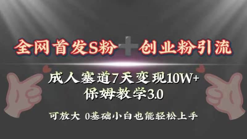 （8337期）全网首发s粉加创业粉引流变现，成人用品赛道7天变现10w+保姆教学3.0-九节课