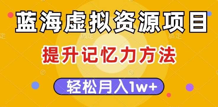 蓝海虚拟资源项目，提升记忆力方法，多种变现方式，轻松月入1w+【揭秘】-九节课