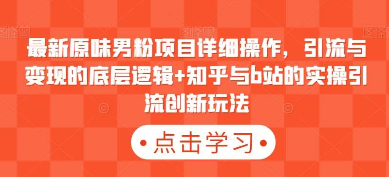 最新原味男粉项目详细操作，引流与变现的底层逻辑+知乎与b站的实操引流创新玩法-九节课