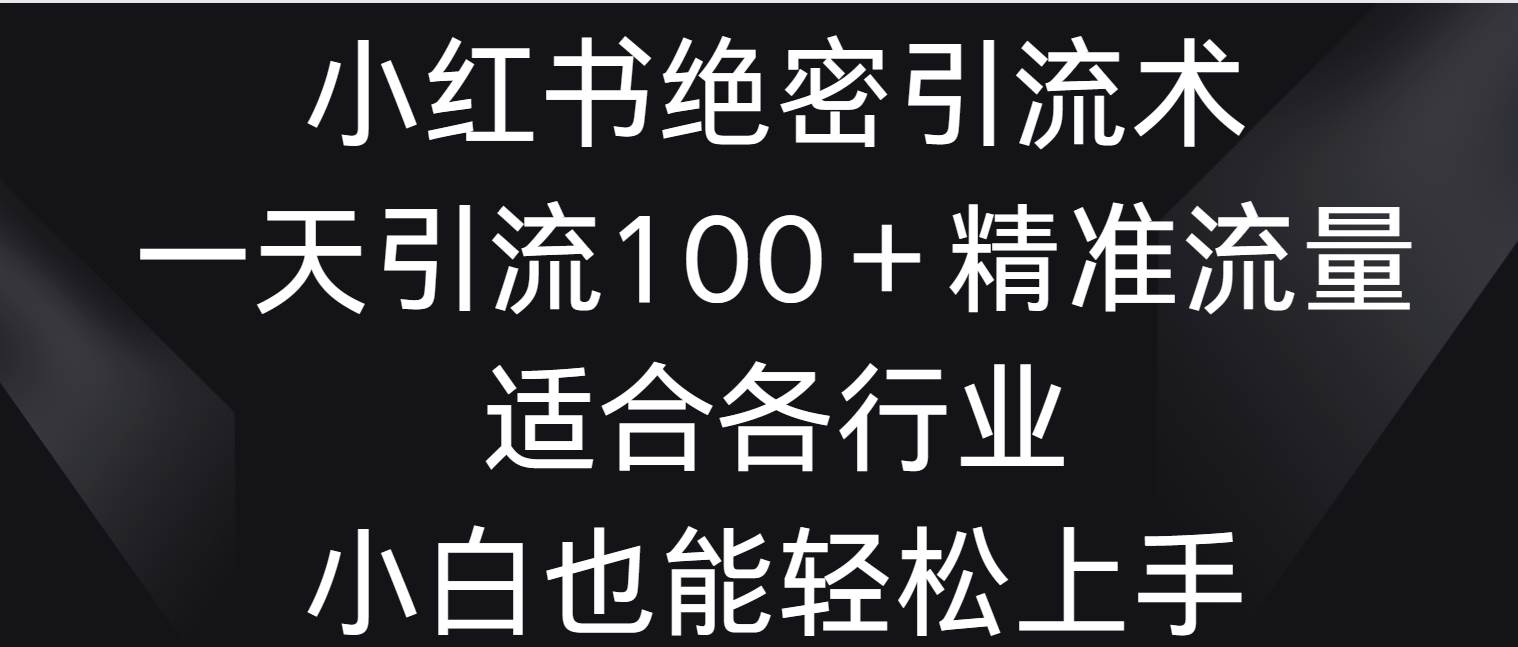 小红书绝密引流术，一天引流100＋精准流量，适合各个行业，小白也能轻松上手-九节课