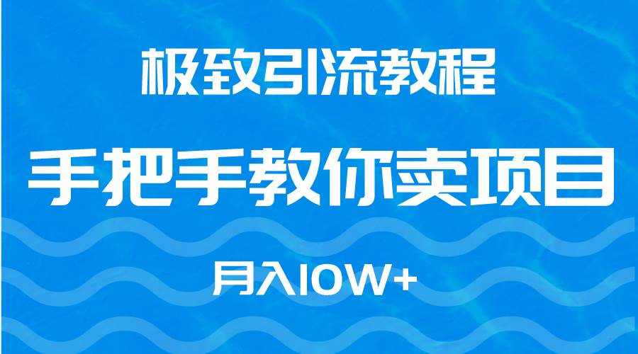 （9265期）极致引流教程，手把手教你卖项目，月入10W+-九节课