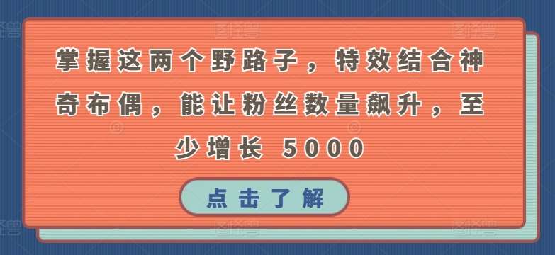 掌握这两个野路子，特效结合神奇布偶，能让粉丝数量飙升，至少增长 5000【揭秘】-九节课