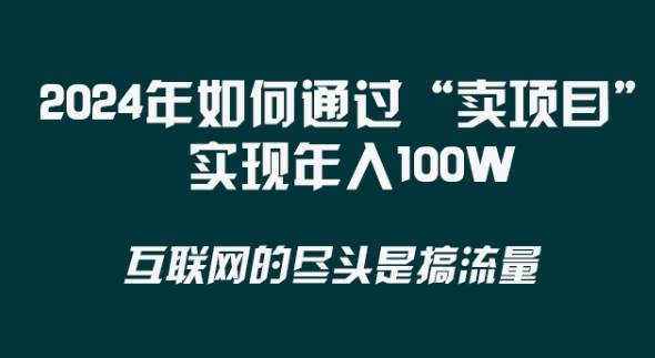 2024年 做项目不如‘卖项目’更快更直接！年入100万-九节课