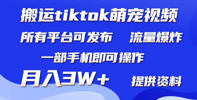 （9618期）搬运Tiktok萌宠类视频，一部手机即可。所有短视频平台均可操作，月入3W+-九节课