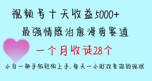 十天收益5000+，多平台捞金，视频号情感治愈漫剪，一个月收徒28个，小白一部手机轻松上手【揭秘】-九节课