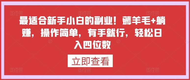 最适合新手小白的副业！薅羊毛+躺赚，操作简单，有手就行，轻松日入四位数【揭秘】-九节课