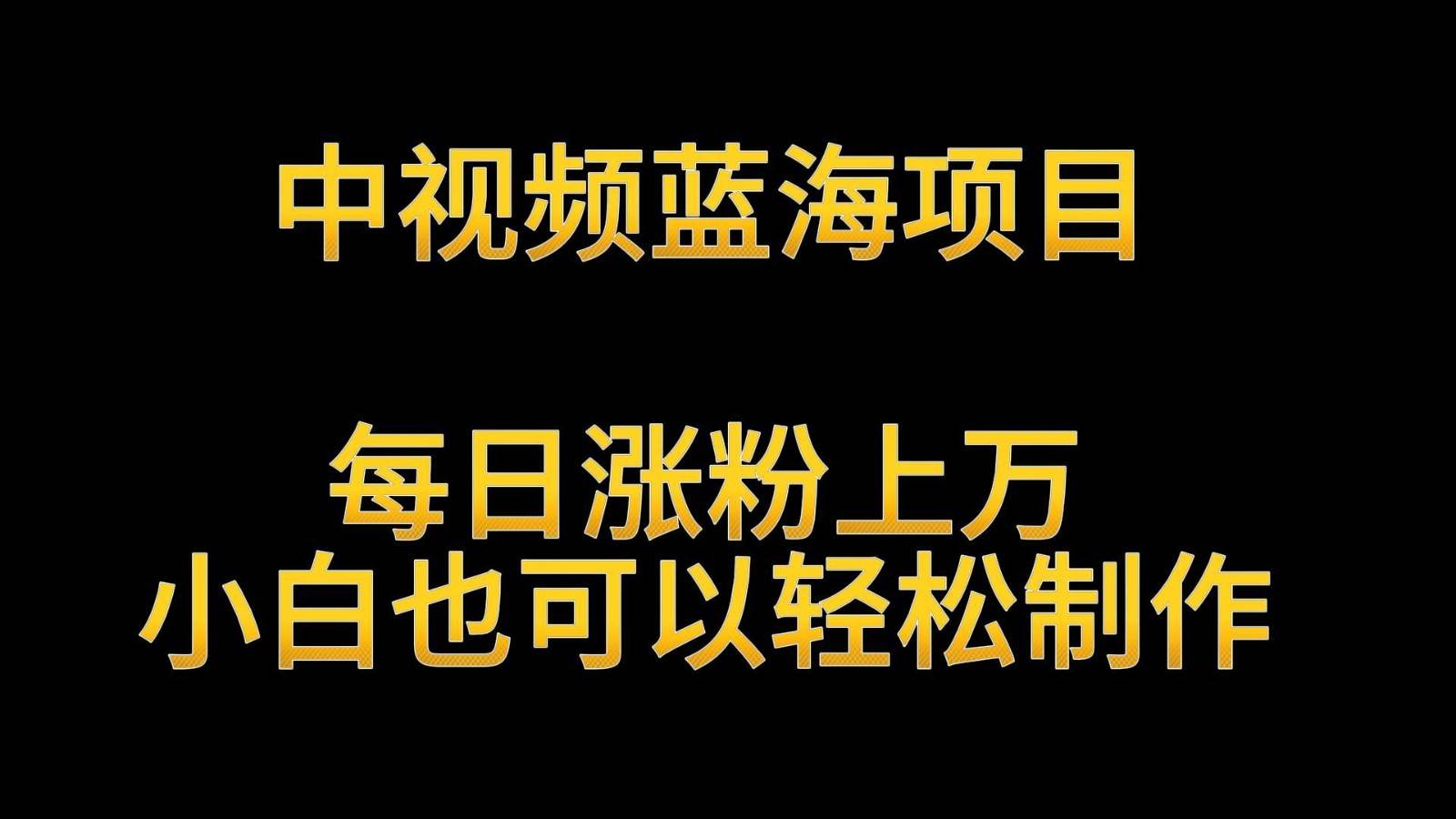 中视频蓝海项目，解读英雄人物生平，每日涨粉上万，小白也可以轻松制作，月入过万-九节课