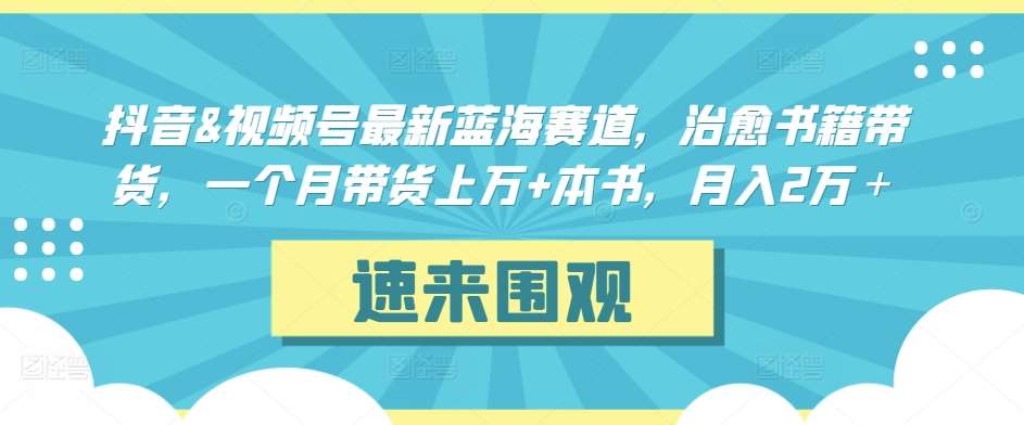 抖音&视频号最新蓝海赛道，治愈书籍带货，一个月带货上万+本书，月入2万＋【揭秘】-九节课