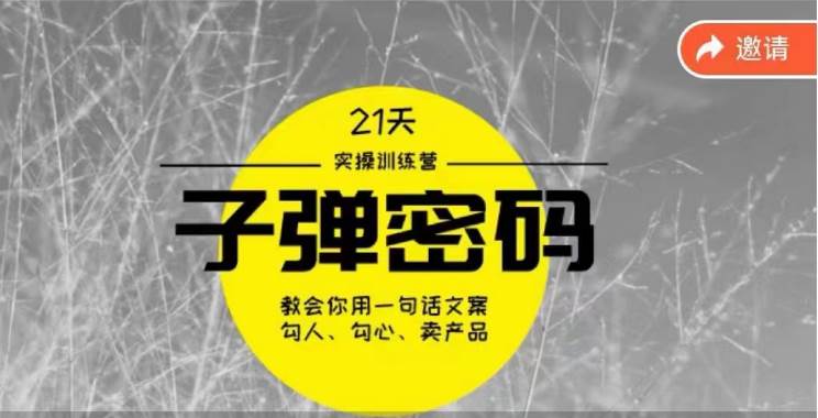 《子弹密码训练营》-用一句话文案勾人勾心卖产品，21天学到顶尖文案大师策略和技巧-九节课