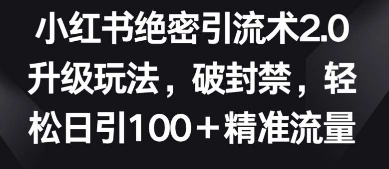 小红书绝密引流术2.0升级玩法，破封禁，轻松日引100+精准流量【揭秘】-九节课