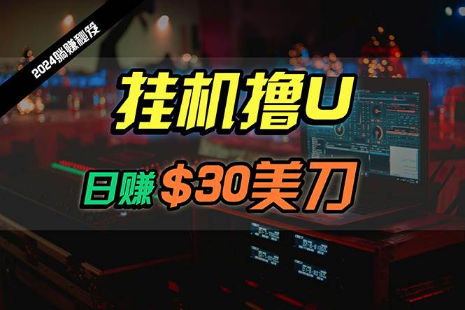 （10013期）日赚30美刀，2024最新海外挂机撸U内部项目，全程无人值守，可批量放大-九节课