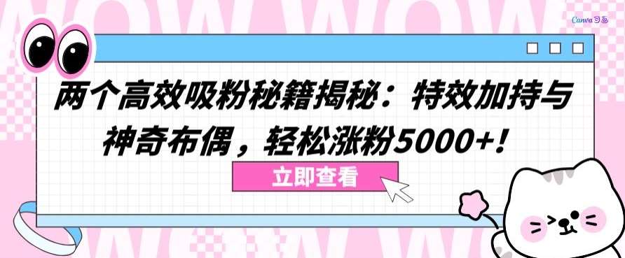 两个高效吸粉秘籍揭秘：特效加持与神奇布偶，轻松涨粉5000+【揭秘】-九节课