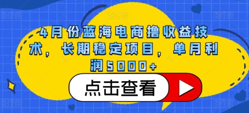 4月份蓝海电商撸收益技术，长期稳定项目，单月利润5000+【揭秘】-九节课