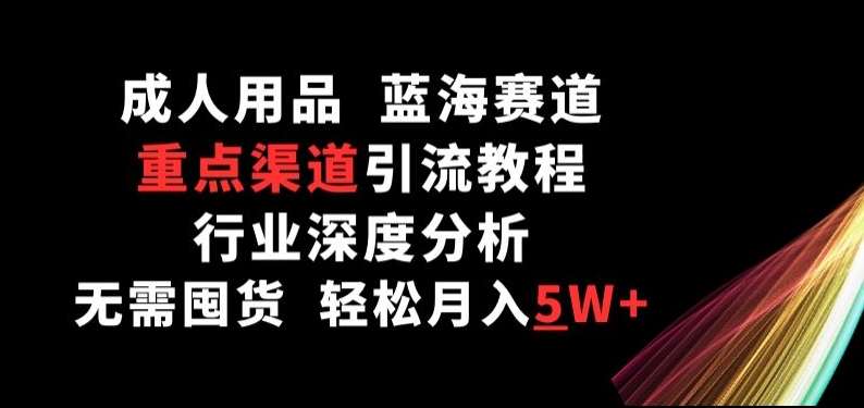 成人用品，蓝海赛道，重点渠道引流教程，行业深度分析，无需囤货，轻松月入5W+【揭秘】-九节课