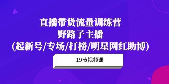 （10016期）直播带货流量特训营，野路子主播(起新号/专场/打榜/明星网红助博)19节课-九节课