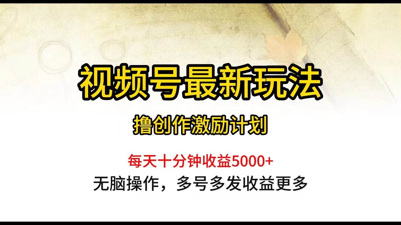 （10087期）视频号最新玩法，每日一小时月入5000+-九节课