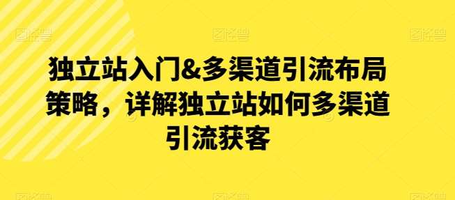 独立站入门&多渠道引流布局策略，详解独立站如何多渠道引流获客-九节课