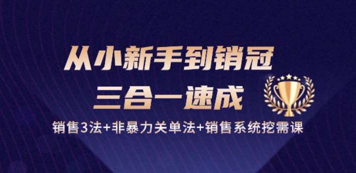 从小新手到销冠 三合一速成：销售3法+非暴力关单法+销售系统挖需课 (27节)-九节课