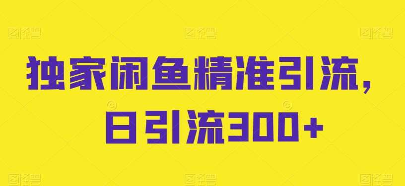 独家闲鱼精准引流，日引流300+【揭秘】-九节课