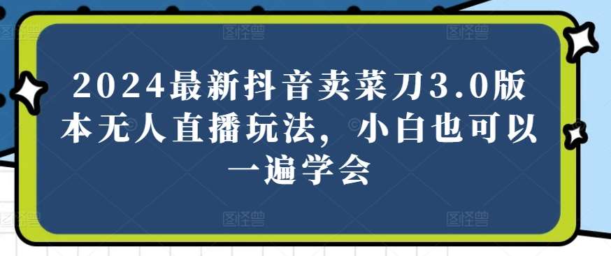 2024最新抖音卖菜刀3.0版本无人直播玩法，小白也可以一遍学会【揭秘】-九节课