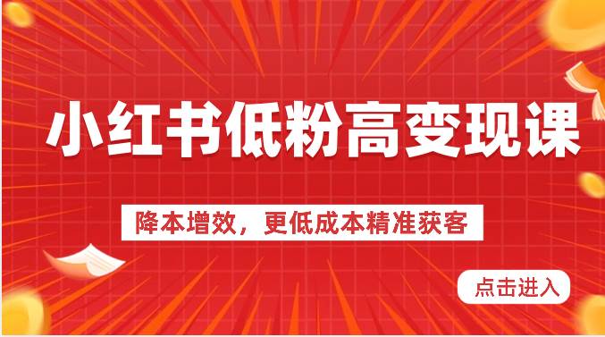 小红书低粉高变现课-降本增效，更低成本精准获客，小红书必爆的流量密码-九节课