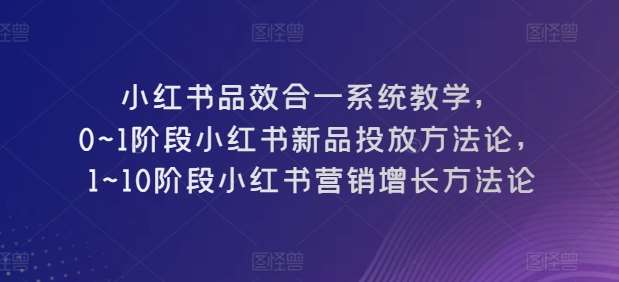 小红书品效合一系统教学，​0~1阶段小红书新品投放方法论，​1~10阶段小红书营销增长方法论-九节课