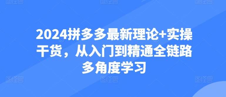 2024拼多多最新理论+实操干货，从入门到精通全链路多角度学习-九节课