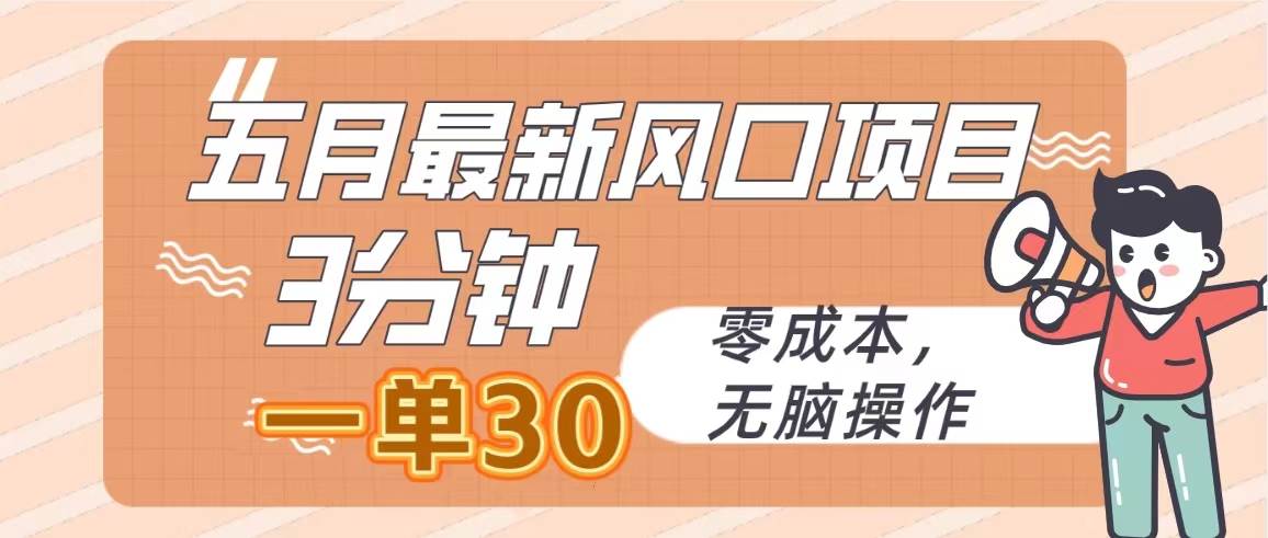 （10256期）五月最新风口项目，3分钟一单30，零成本，无脑操作-九节课