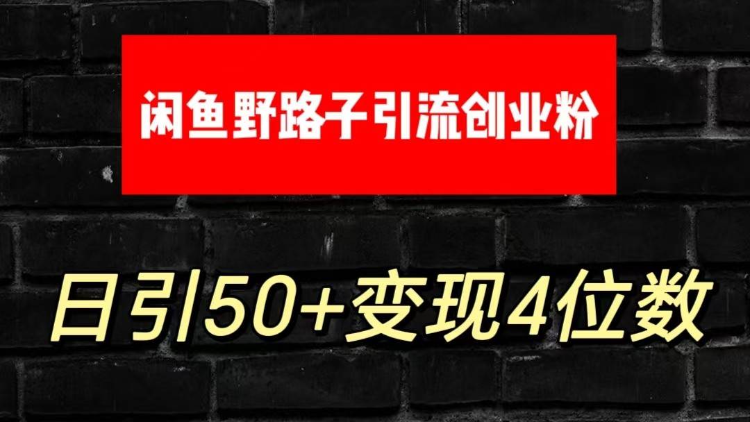 大眼闲鱼野路子引流创业粉，日引50+单日变现四位数-九节课