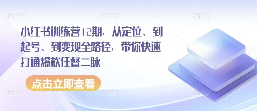 小红书训练营12期，从定位、到起号、到变现全路径，带你快速打通爆款任督二脉-九节课