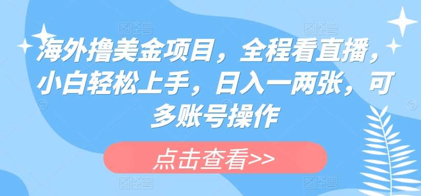 海外撸美金项目，全程看直播，小白轻松上手，日入一两张，可多账号操作【揭秘】-九节课