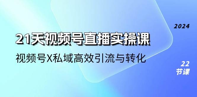 （10966期）21天-视频号直播实操课，视频号X私域高效引流与转化（22节课）-九节课