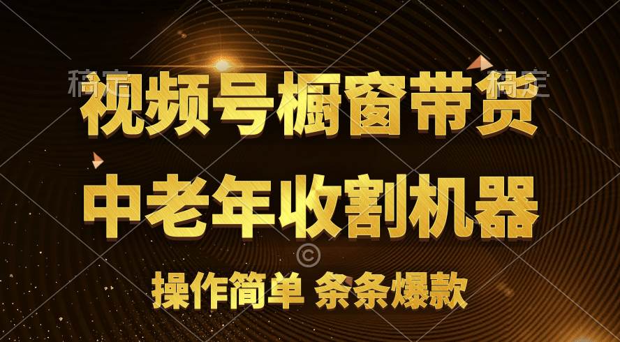 （11009期）[你的孩子成功取得高位]视频号最火爆赛道，橱窗带货，流量分成计划，条…-九节课