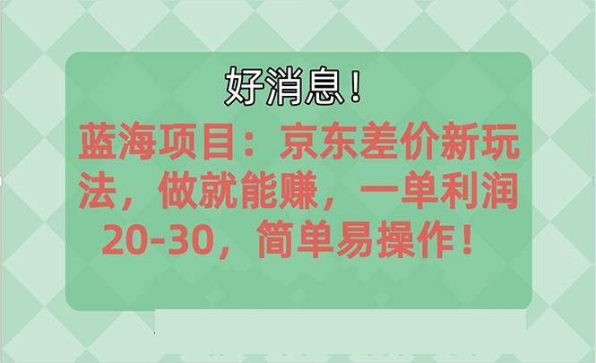 （10989期）越早知道越能赚到钱的蓝海项目：京东大平台操作，一单利润20-30，简单…-九节课