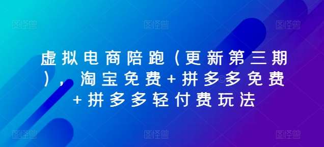 虚拟电商陪跑(更新第三期)，淘宝免费+拼多多免费+拼多多轻付费玩法-九节课