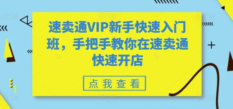 速卖通VIP新手快速入门班，手把手教你在速卖通快速开店-九节课