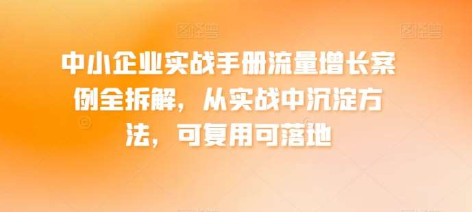 中小企业实战手册流量增长案例全拆解，从实战中沉淀方法，可复用可落地-九节课