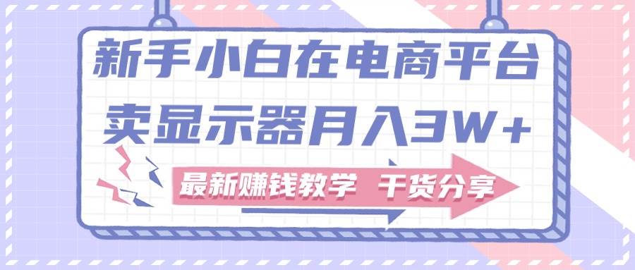 （11053期）新手小白如何做到在电商平台卖显示器月入3W+，最新赚钱教学干货分享-九节课