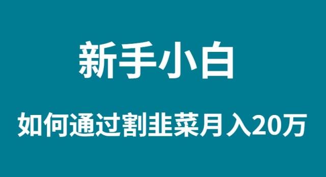 新手小白如何通过割韭菜月入 20W-九节课