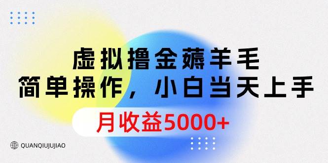 虚拟撸金薅羊毛，简单操作，小白当天上手，月收益5000+-九节课