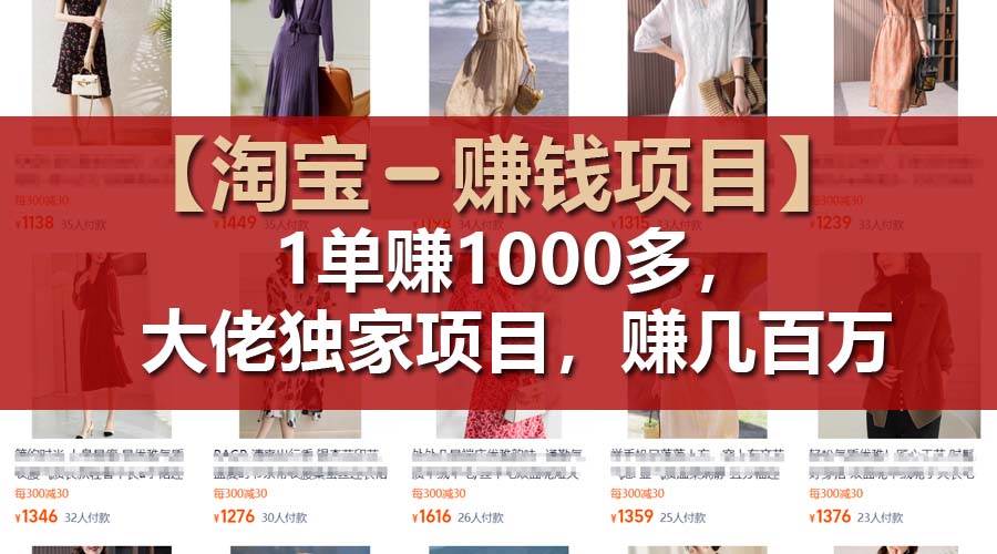 【淘宝赚钱项目】1单可赚1000多，大佬独家项目，年赚几百万-九节课