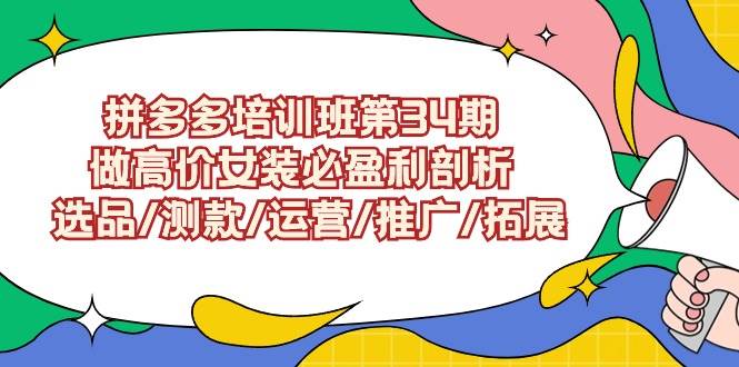 拼多多培训班第34期：做高价女装必盈利剖析  选品/测款/运营/推广/拓展-九节课