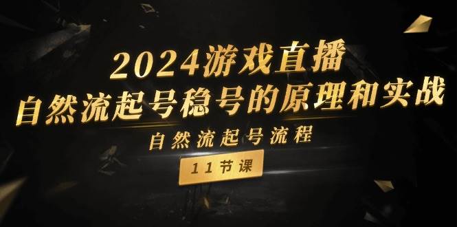 2024游戏直播-自然流起号稳号的原理和实战，自然流起号流程（11节）-九节课